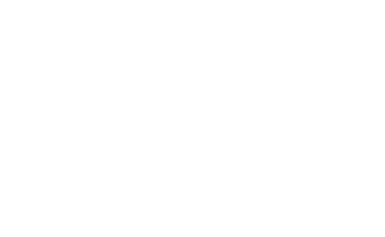 wnh Logo website